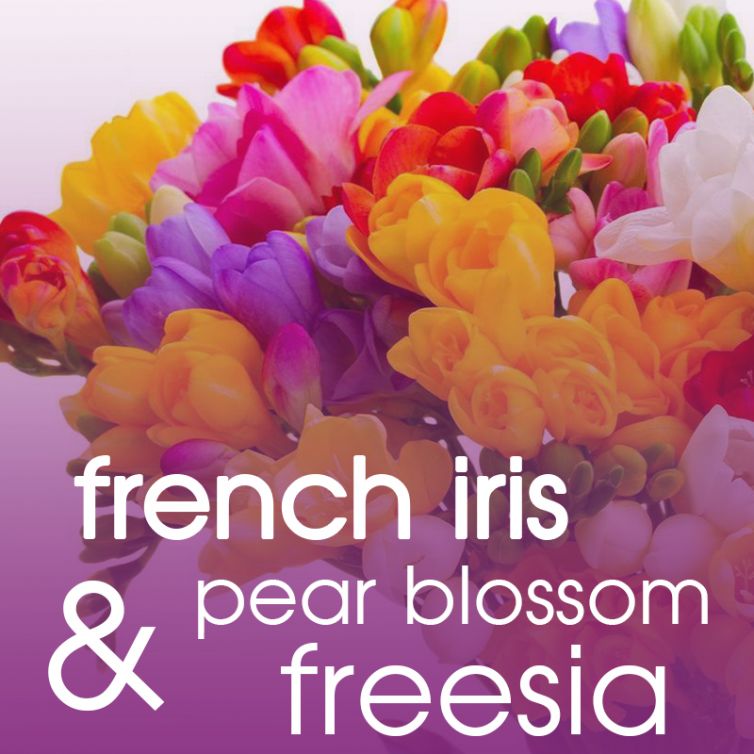 fragrance OIL 50ml<br>Crush