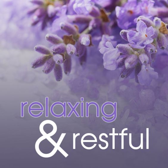 scrub in a TUB 3oz <br> Lavender