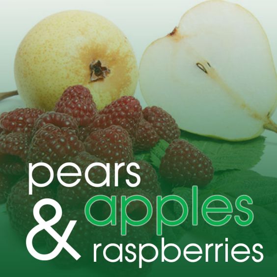 foot soak SPA 5LB<br>Pear Berry