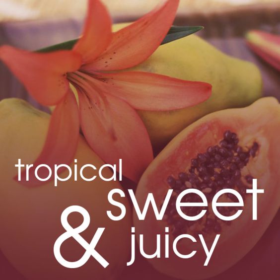 foot soak SPA 5LB<br>Red Papaya