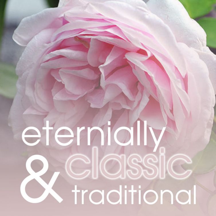 scrub in a TUB 3oz <br> Victorian Rose